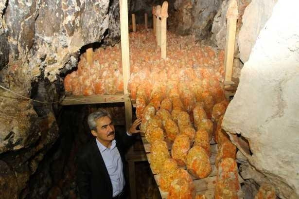 Bilim adamlarını şaşırtan Türk