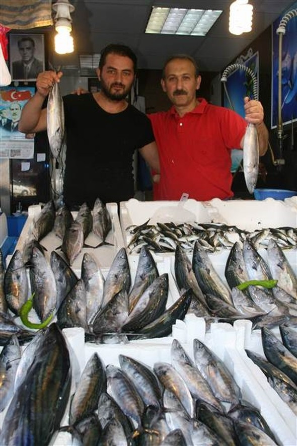 7 bin kasa palamut yakalandı