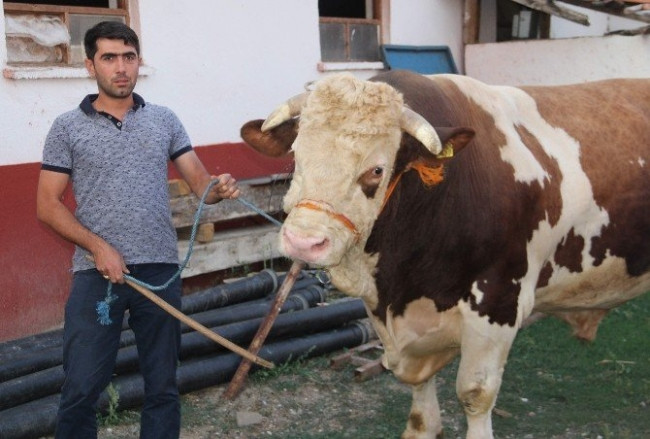 2.207 kiloluk bir dev !