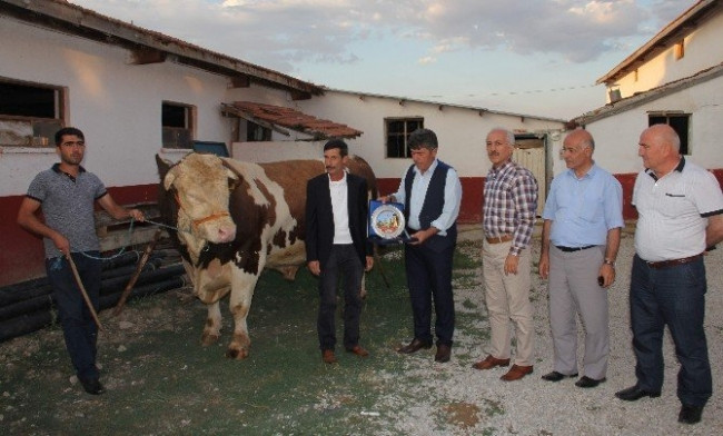 2.207 kiloluk bir dev !