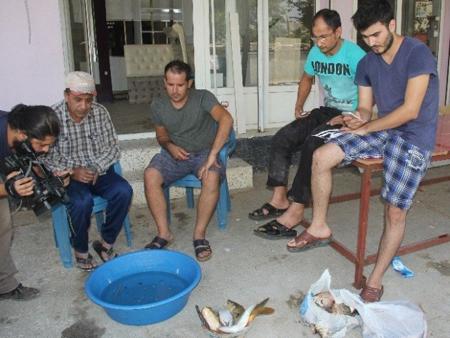 Adana'da pirana paniği