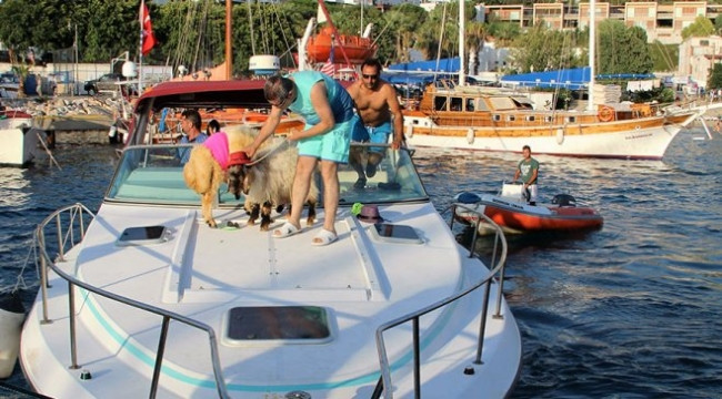 Kurbanlığıyla lüks yatında poz verdi