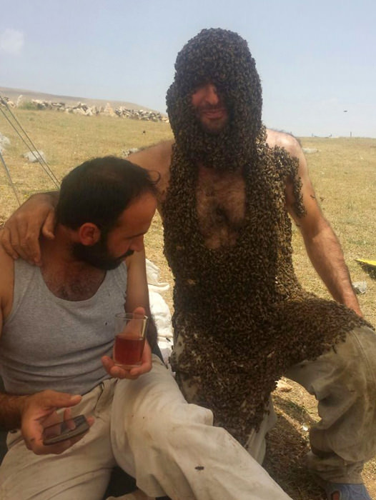 Vücudunu binlerce arı ile kapladı