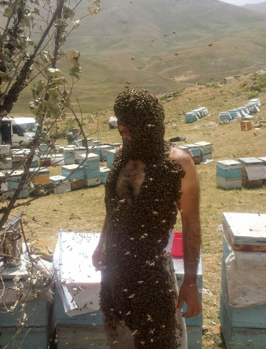 Vücudunu binlerce arı ile kapladı