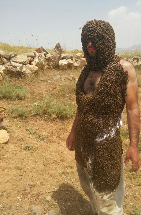 Vücudunu binlerce arı ile kapladı