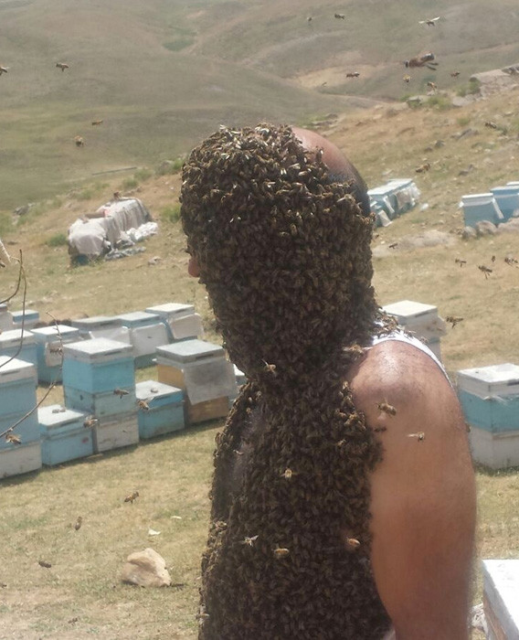 Vücudunu binlerce arı ile kapladı