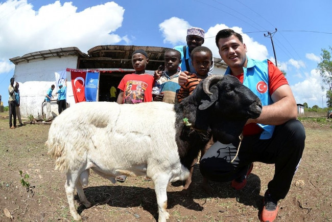 Erdoğan'ın Kurbanı Tanzanya'da Kayaalp ile kesildi