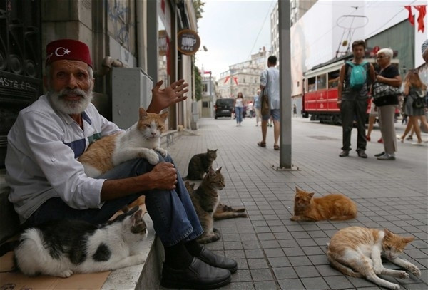 Bir zamanlar çok ünlüydü