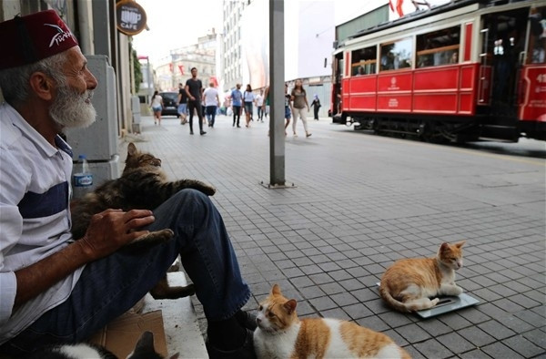 Bir zamanlar çok ünlüydü