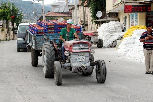 Köydeki kooperatif, 30 milyonluk domates satıyor !