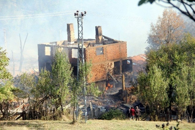 Yangın bir köyü yok etti !
