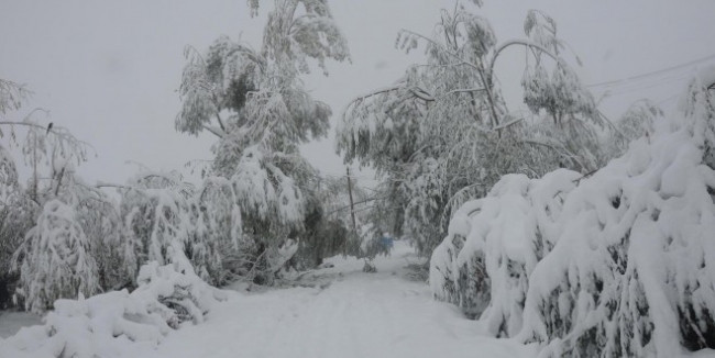 "El Nino" yerini "La Nina"ya bırakıyor