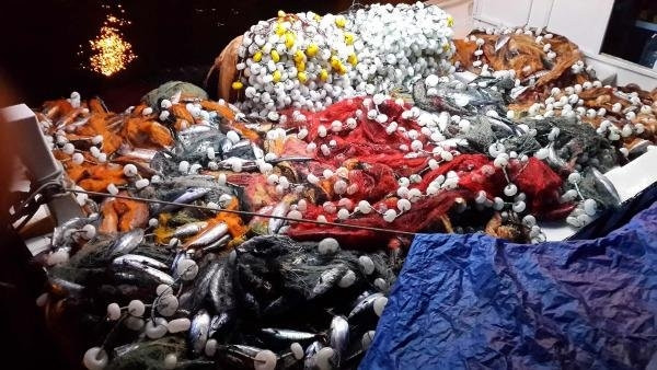 Çanakkale'de tek seferde 1.500 palamut yakalandı