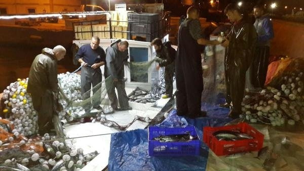 Çanakkale'de tek seferde 1.500 palamut yakalandı