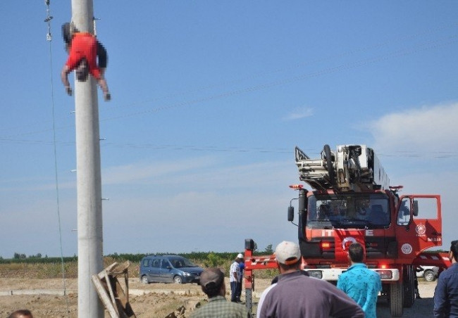 Elektrik akımına kapıldılar !