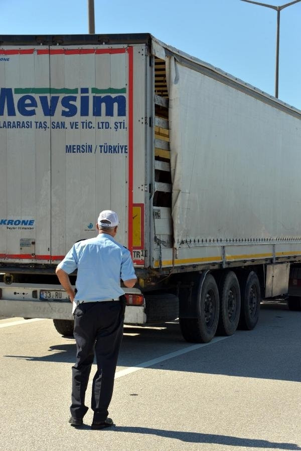 Durdurulan TIR'dan 35 tane at çıktı