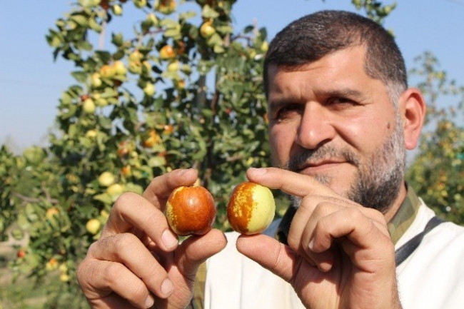 Rüyasında görüp, Türkiye’nin en büyüğünü kurdu