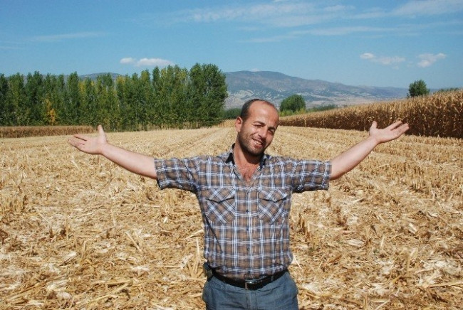 Çiftçinin çaldırdığı mısırlar bulundu