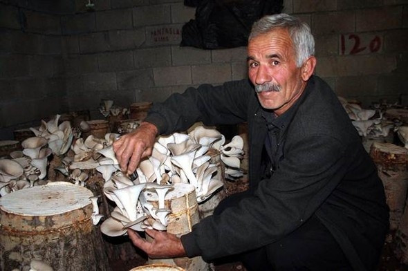 Çiftçiliği bırakıp bu işe girdi! Yıllık kazancı 50 bin lira