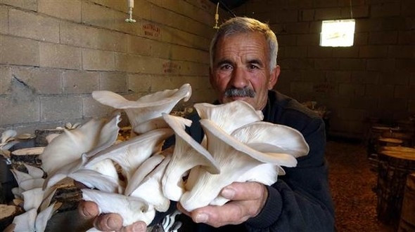 Çiftçiliği bırakıp bu işe girdi! Yıllık kazancı 50 bin lira