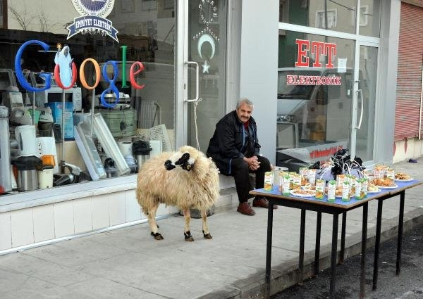 ''Dadaş Mucit''in hevesi kursağında kaldı