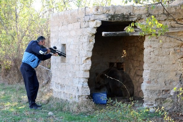 Gündüz vakti ayı indi