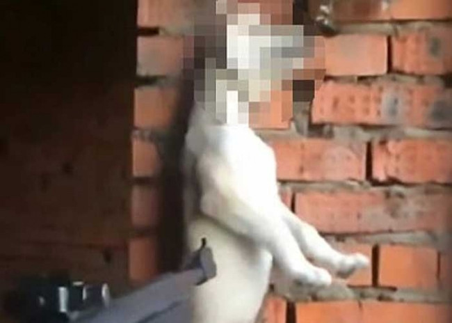 Sokak hayvanlarına işkence yapan kadın tutuklandı