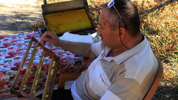 Arı sütünün 10 gramı 250 TL