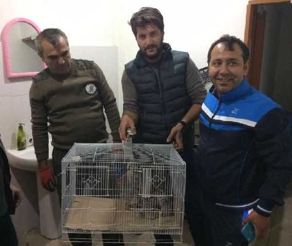İlk kez yakından görüntülendi