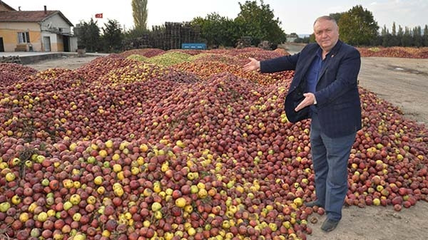 Elma üreticileri zorda ! Ağaçlar sökülüyor...