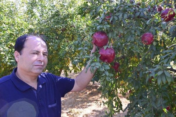 Rusya krizi onları da vurdu