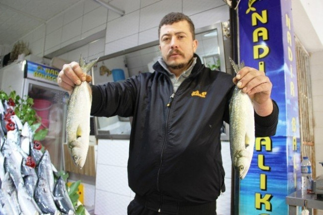 Lüferin fiyatı el yakıyor
