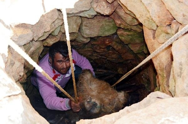 Söğle peyniri tam 2 ay kar dolu çukurda bekletiliyor