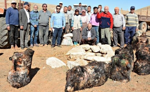 Söğle peyniri tam 2 ay kar dolu çukurda bekletiliyor