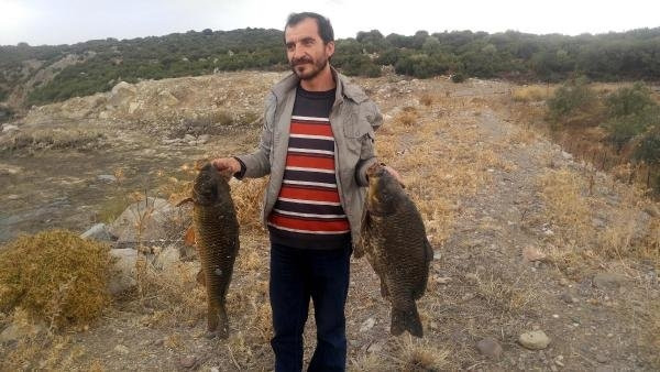 Gölet Kurudu, Balıklar Telef Oldu
