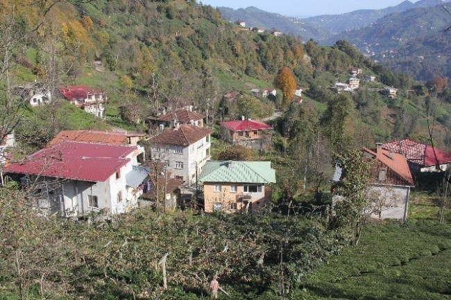Rize'de köylüler diken üstünde !
