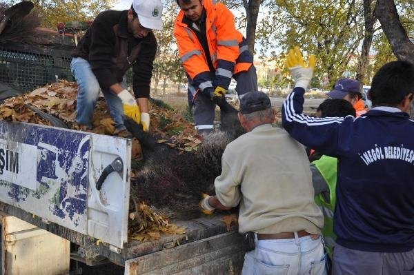 Anıt yakınına domuz bırakıldı