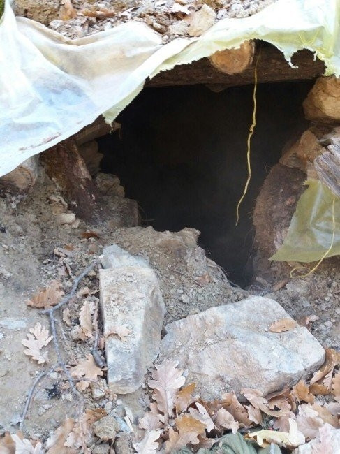 Tunceli'de büyük operasyon: 14 terörist öldürüldü
