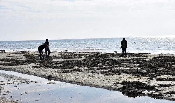 Tekirdağ'da deniz 15 metre çekildi