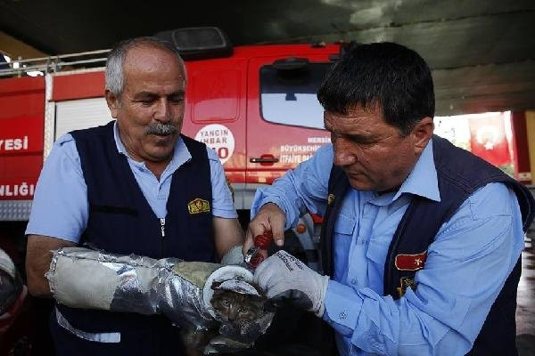 Tuvalet kapağına sıkışan kediyi itfaiye kurtardı