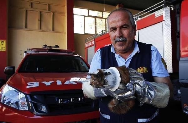 Tuvalet kapağına sıkışan kediyi itfaiye kurtardı