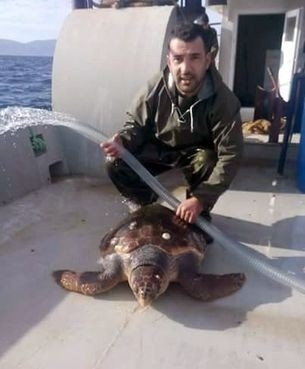 Marmara'da yakalandı, balıkçılar şok oldu !