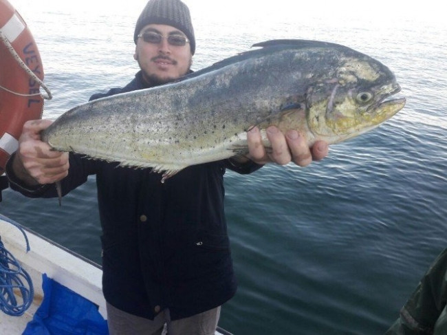 Marmara'da yakalandı, balıkçılar şok oldu !