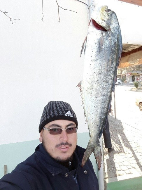 Marmara'da yakalandı, balıkçılar şok oldu !