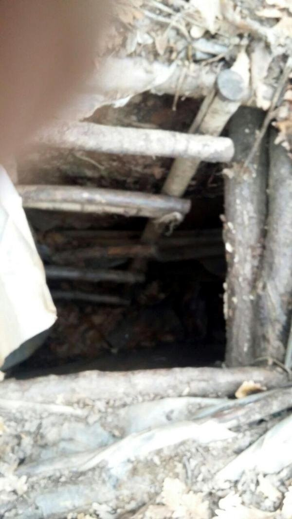 Diyarbakır'da 5 odalı mağara bulundu