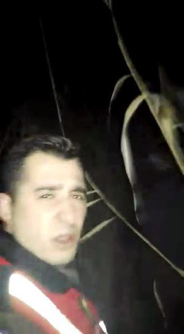 Bataklıkta mahsur kalan kadının imdadına jandarma koştu