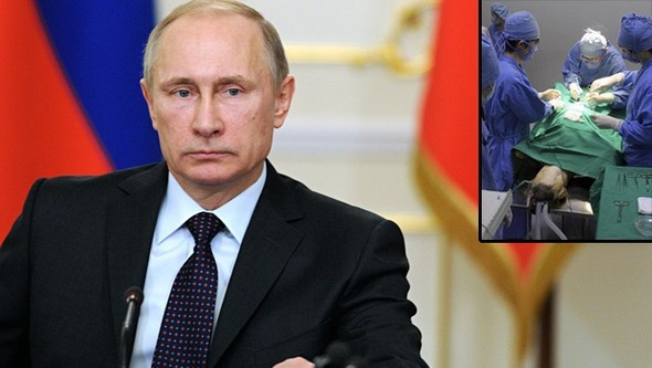 Putin'in ordusuna klonlanmış köpekler geliyor