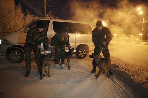 Putin'in ordusuna klonlanmış köpekler geliyor