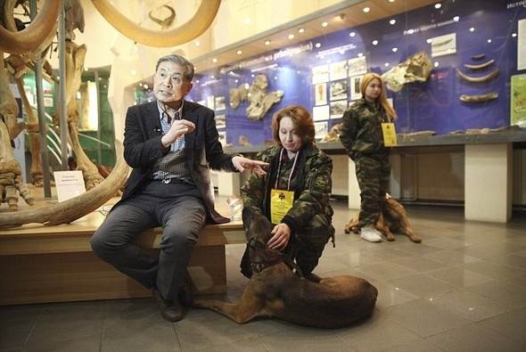 Putin'in ordusuna klonlanmış köpekler geliyor