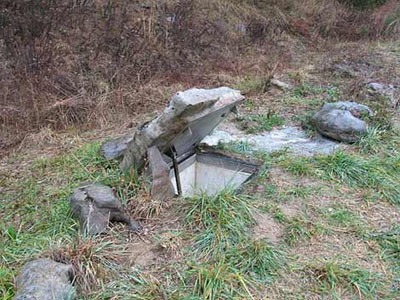 Gizli uyuşturucu tarlaları